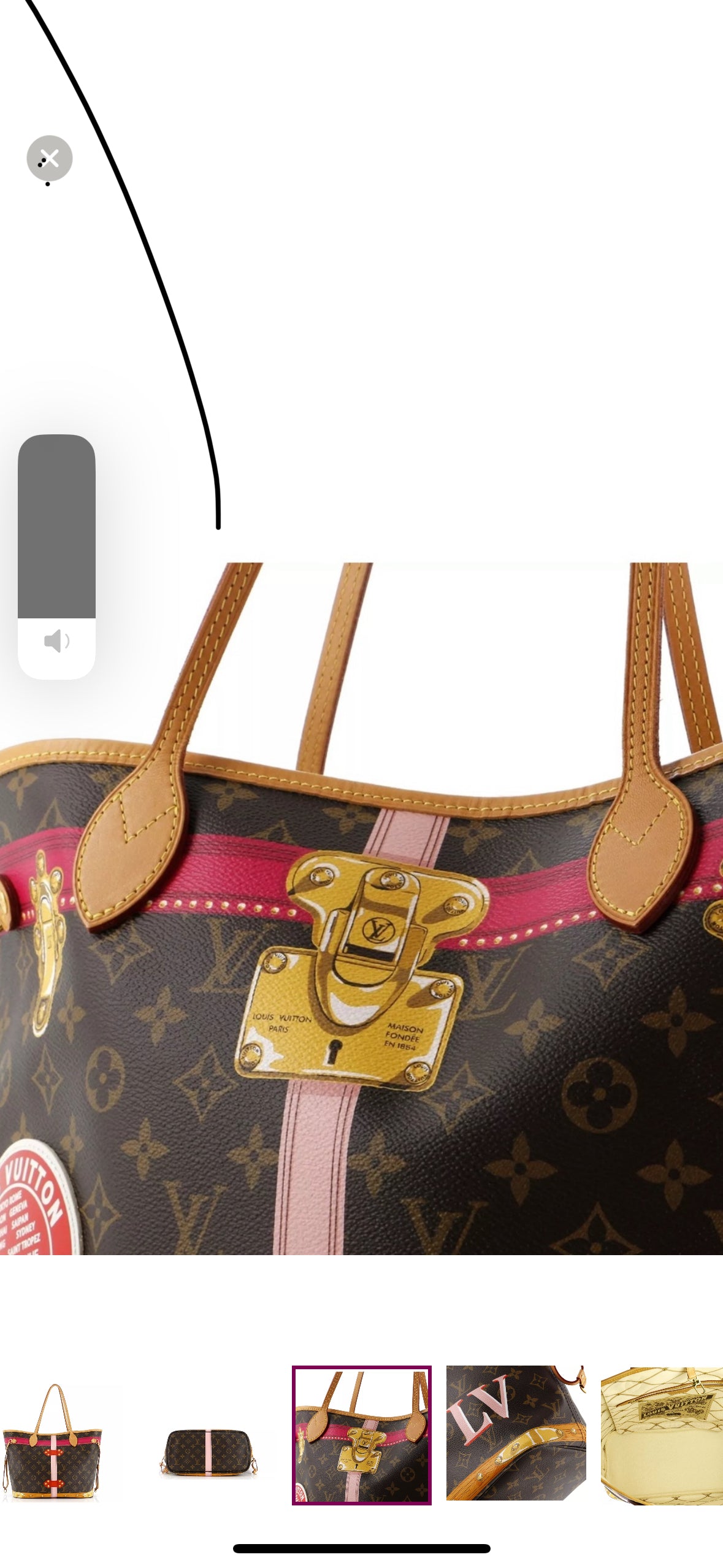 LOUIS VUITTON LIMITED EDITION SUMMER TRUNK NEVERFULL MM